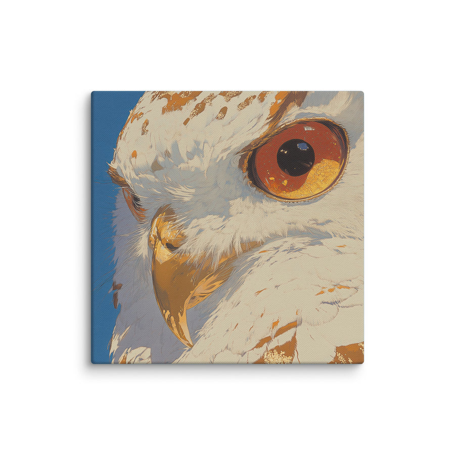 Kindled Eye