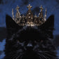 Cat King